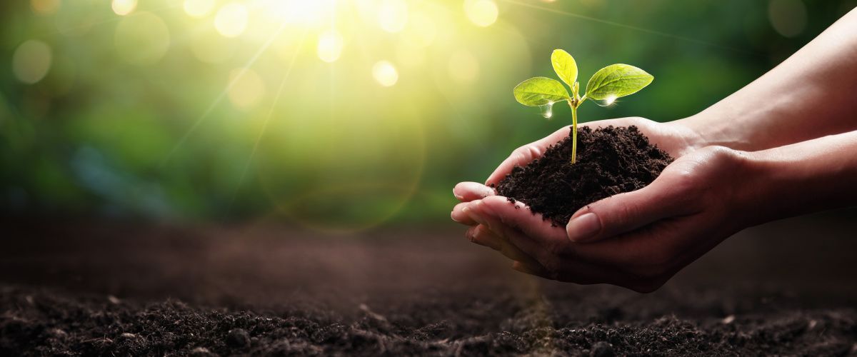 Swindon sustainability