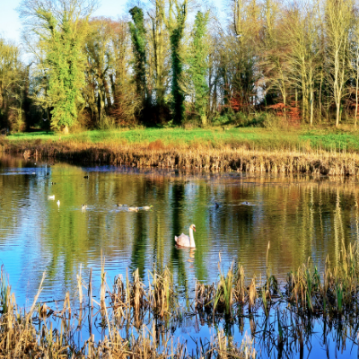 Lydiard Park