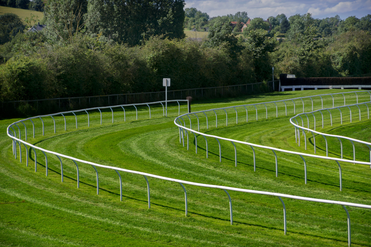 Salisbury Racecourse.